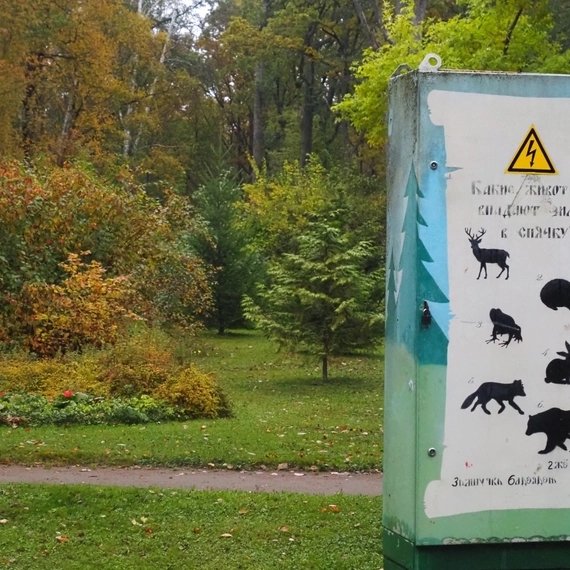 Парк Дубки в Сестрорецке