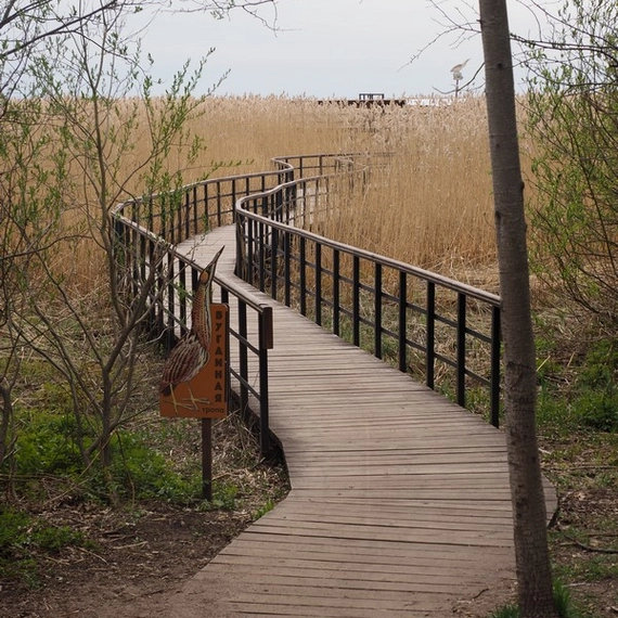 Лукоморье
