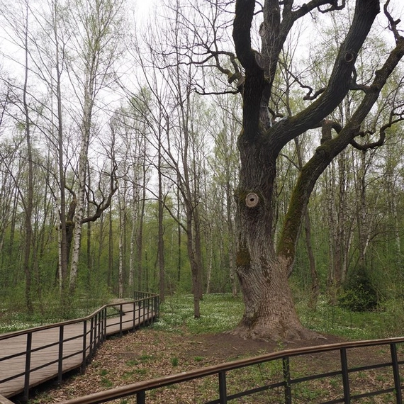 Лукоморье