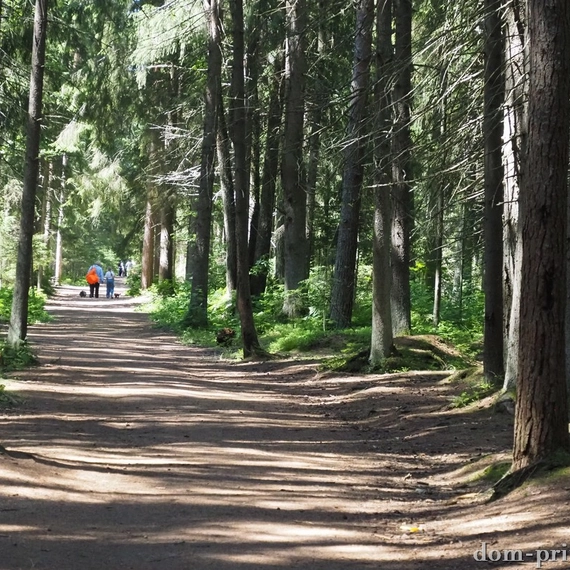 Комаровский берег