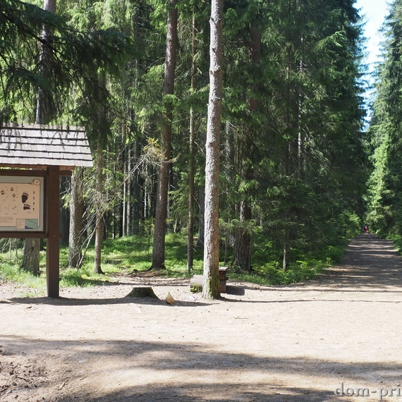 Комаровский берег