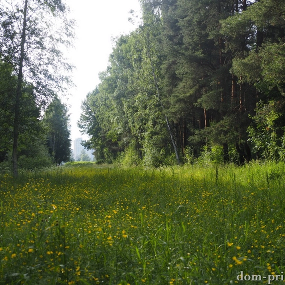 Пискаревский парк