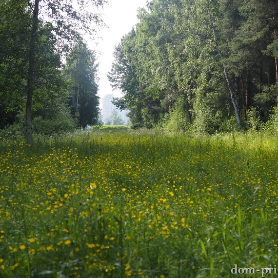 Пискаревский парк