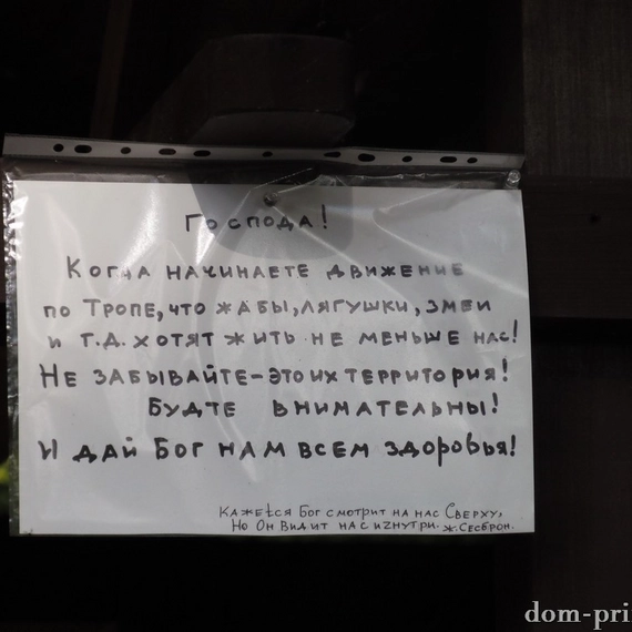 Грибная разведка